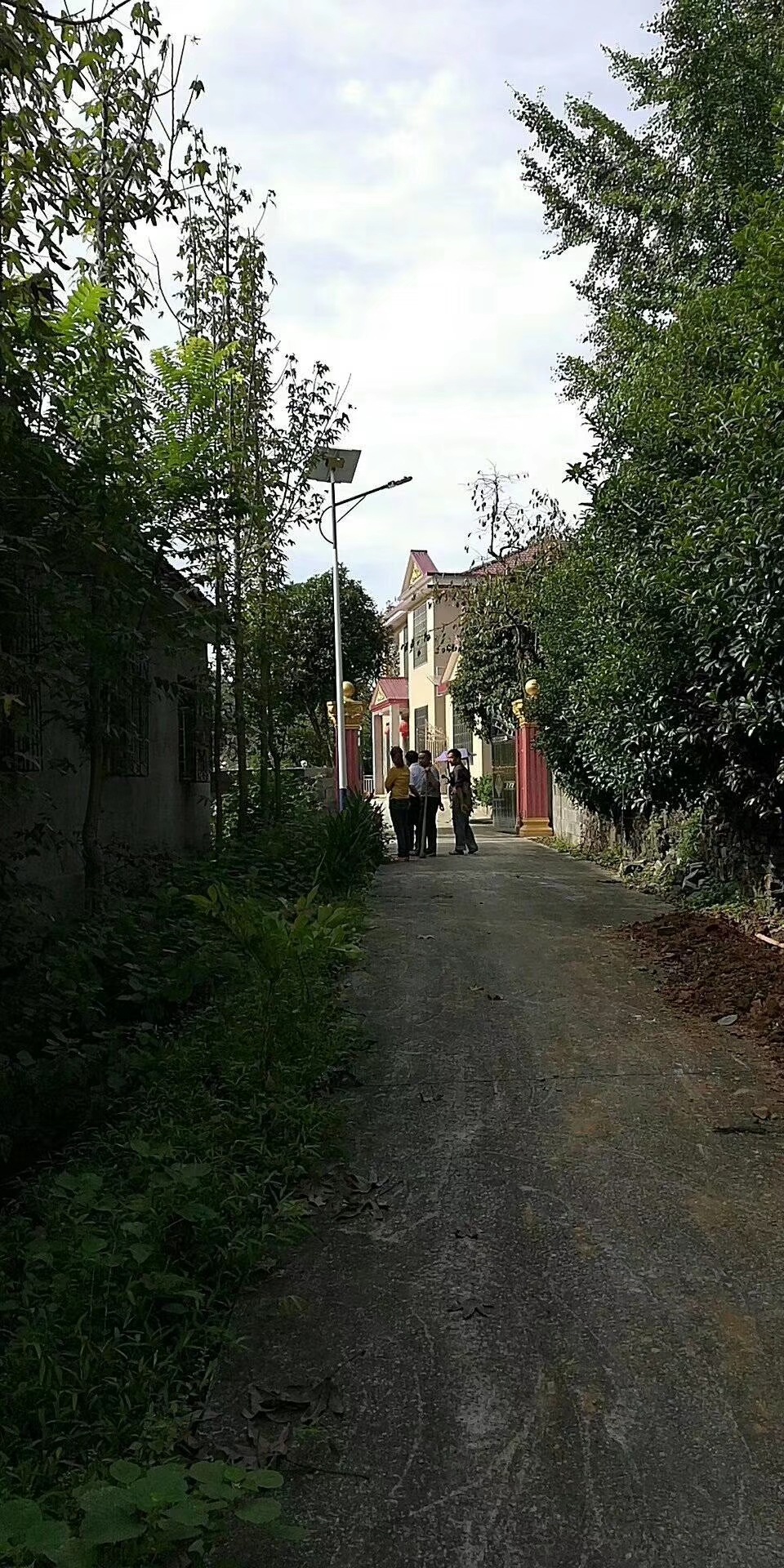 湖南省常德市桃源县理公港镇小河口村7米60w锂电池太阳能路灯工程案例