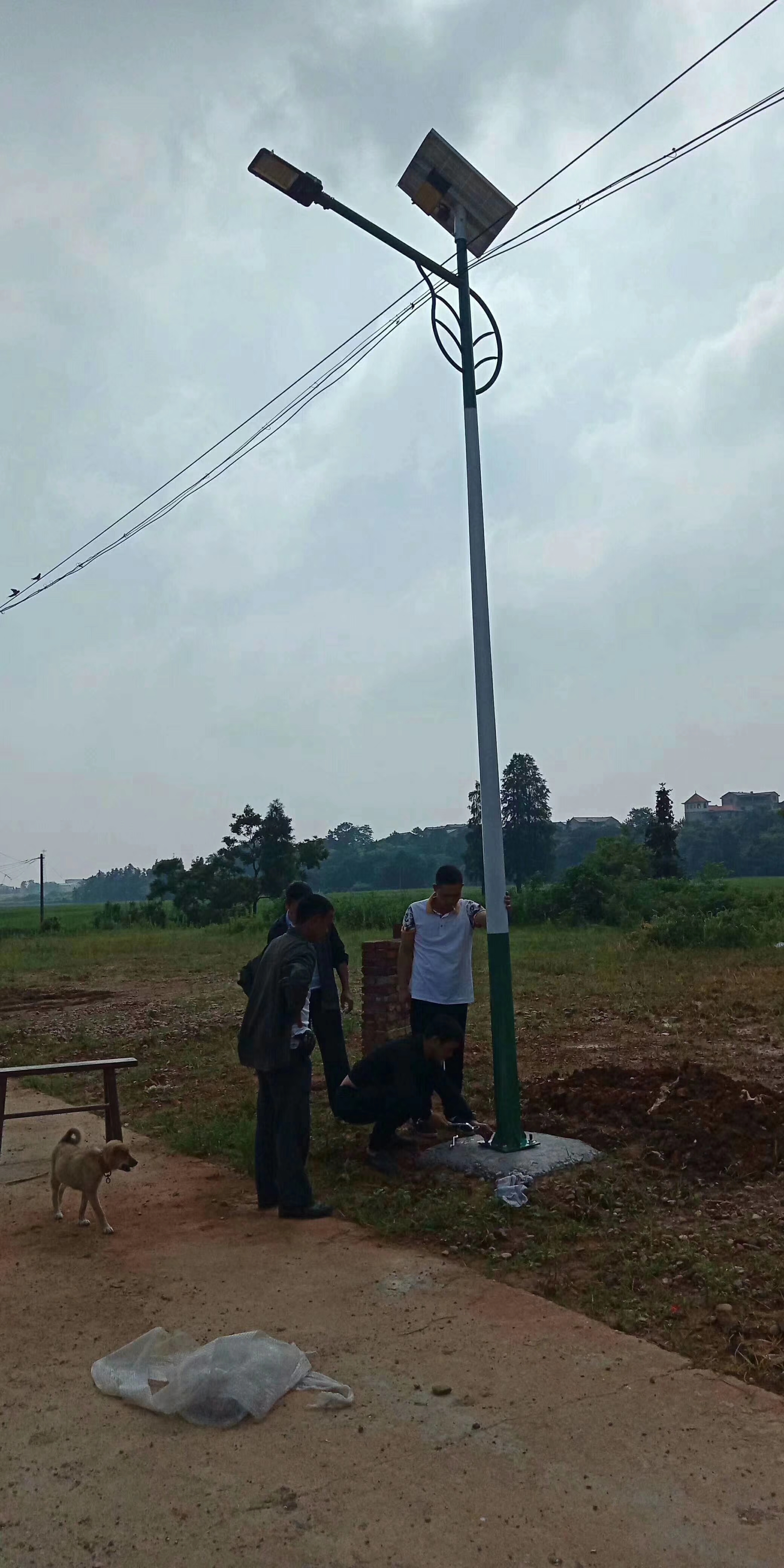栗山林场艾山村太阳能路灯安装案例